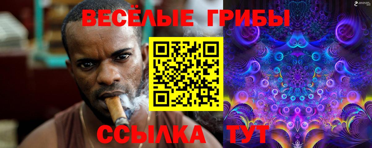 Галлюциногенные грибы MAGIC MUSHROOMS Кузнецк