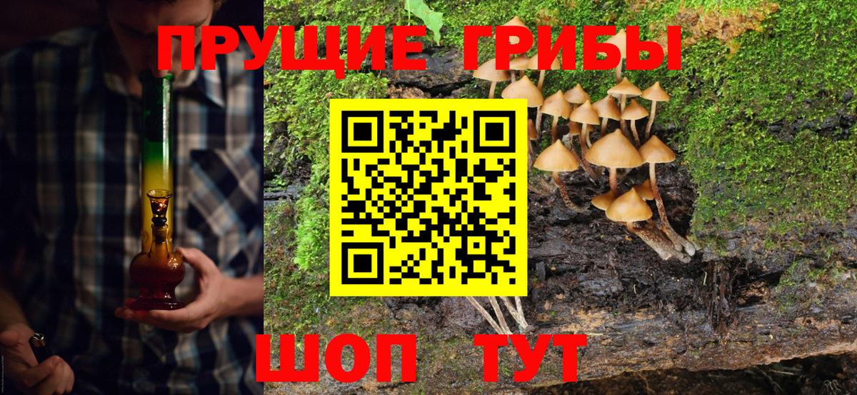 Псилоцибиновые грибы Psilocybine cubensis  Вход с VPN  Кузнецк 